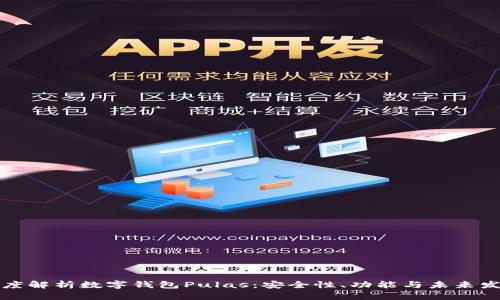 深度解析数字钱包Pulas：安全性、功能与未来发展