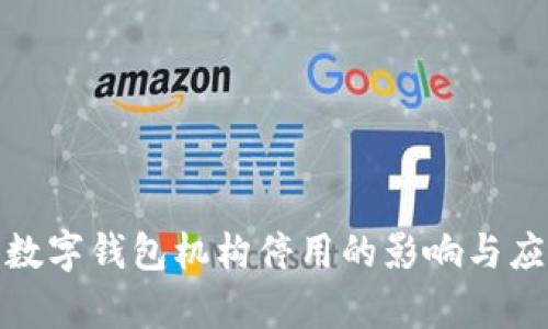: 人民银行数字钱包机构停用的影响与应对措施分析