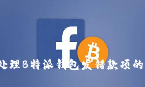 如何处理B特派钱包发错款项的情况？