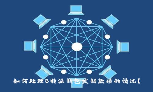 如何处理B特派钱包发错款项的情况？