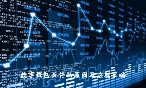 数字钱包关停的原因及应对策略