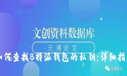 如何查找B特派钱包的私钥：详细指南