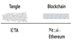 如何将BK钱包导入TP钱包：详细指南与实用技巧