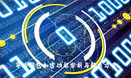 华为钱包加密功能分析与解决方案