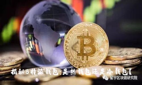 揭秘B特派钱包：是热钱包还是冷钱包？