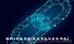 揭秘B特派钱包：是热钱包还是冷钱包？