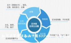 如何在苹果设备上下载BitPapp: 完整指南