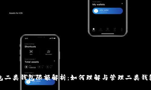 数字钱包二类钱包限额解析：如何理解与管理二类钱包的使用