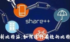   全面解析比特派：如何进行有效的比特派测试