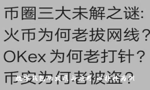 数字钱包的发展与应用：以朴朴为例