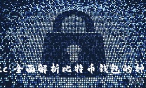 数字钱包Btc：全面解析比特币钱包的种类与安全性