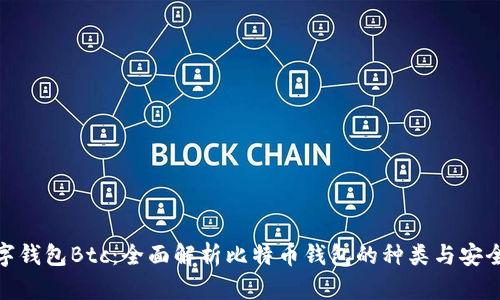 数字钱包Btc：全面解析比特币钱包的种类与安全性