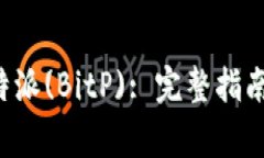 如何投资B特派(BitP): 完整指南与专家建议