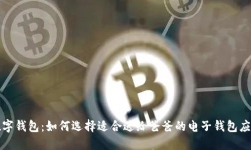 数字钱包:如何选择适合送给爸爸的电子钱包应用