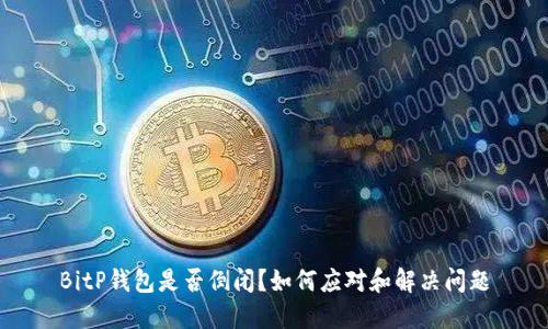 BitP钱包是否倒闭？如何应对和解决问题