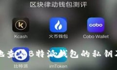 如何安全地查看B特派钱包的私钥及相关知识