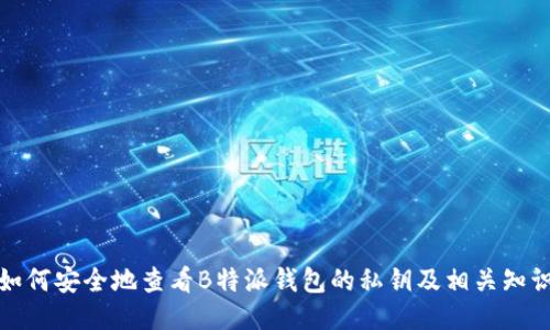 如何安全地查看B特派钱包的私钥及相关知识
