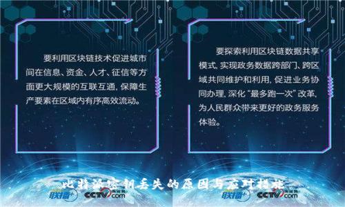 比特派密钥丢失的原因与应对措施