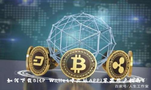 如何下载BitP Wallet中文版APP（苹果用户指南）