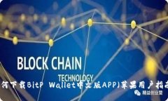 如何下载BitP Wallet中文版APP（苹果用户指南）