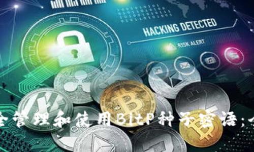 如何安全管理和使用BitP种子密语：全面指南